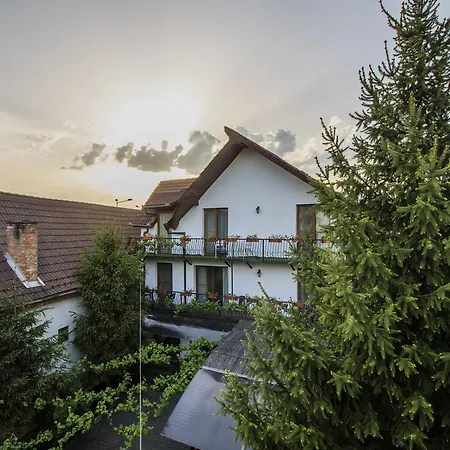Sara Guest house Sibiu